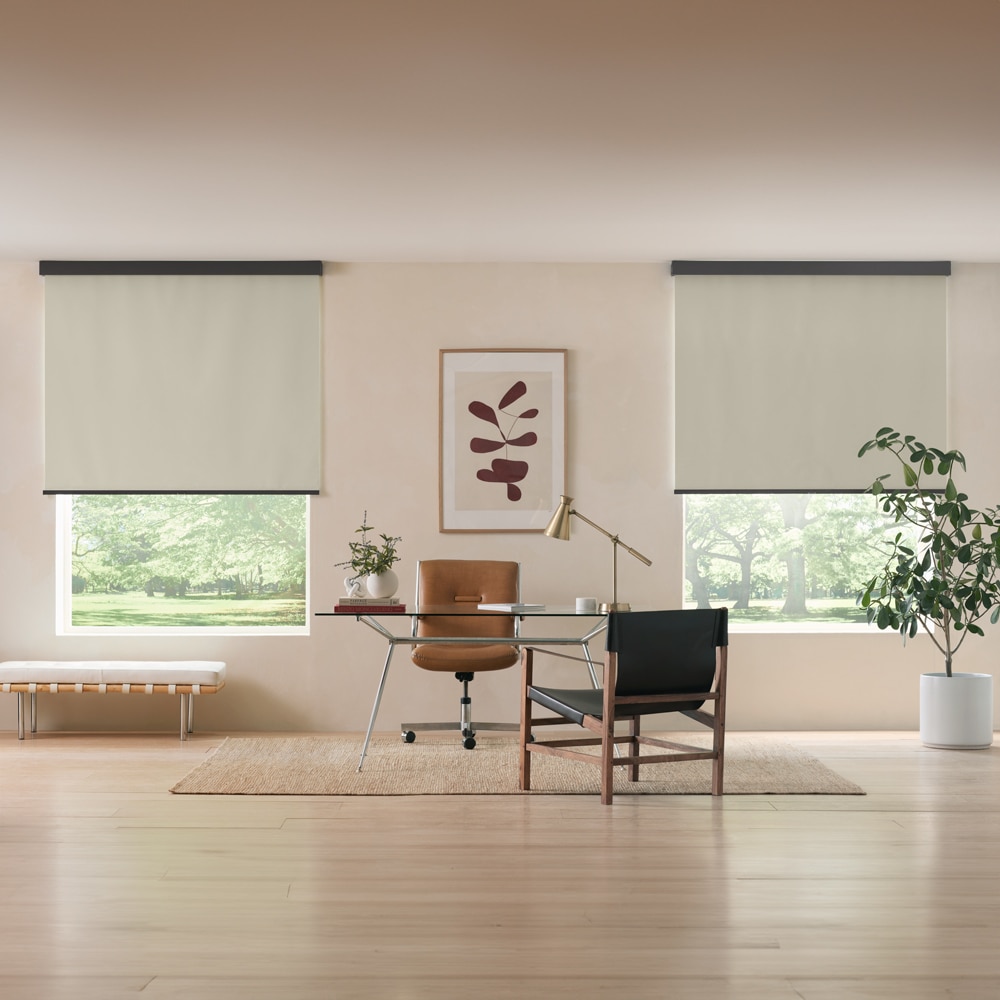 Premium Blackout Roller Shades